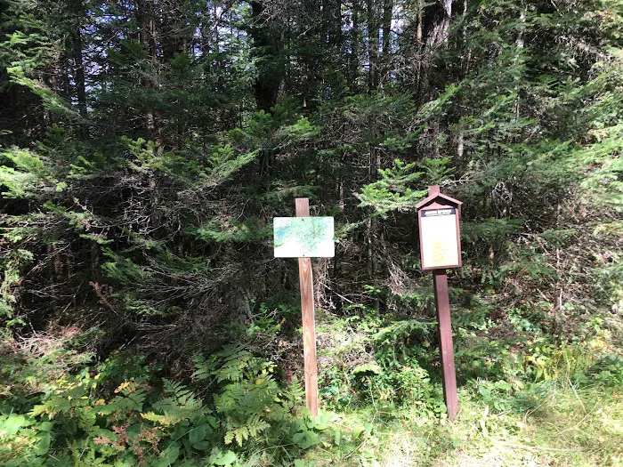 Popple Ridge Horse Campground 3