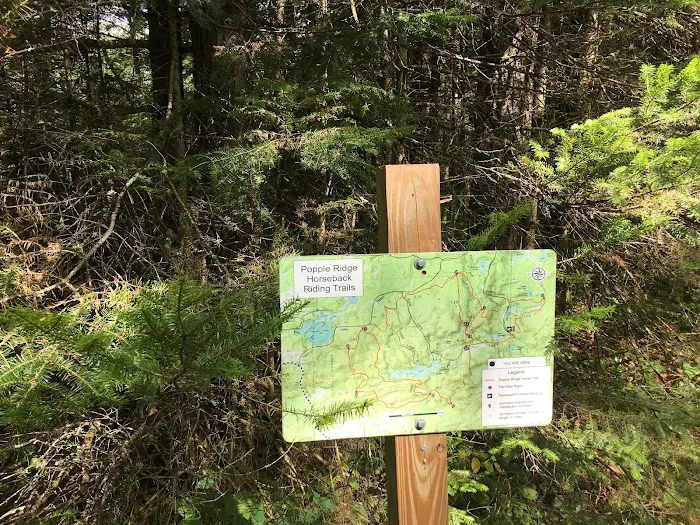 Popple Ridge Horse Campground 5