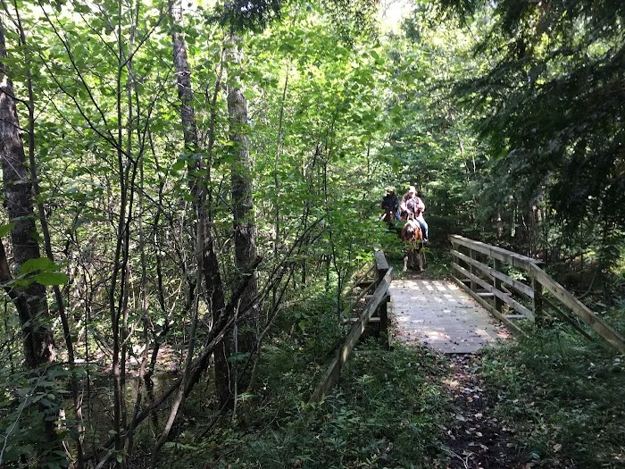 Popple Ridge Horse Campground 4