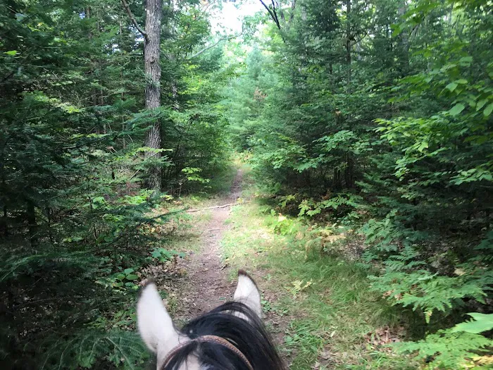 Popple Ridge Horse Campground 9