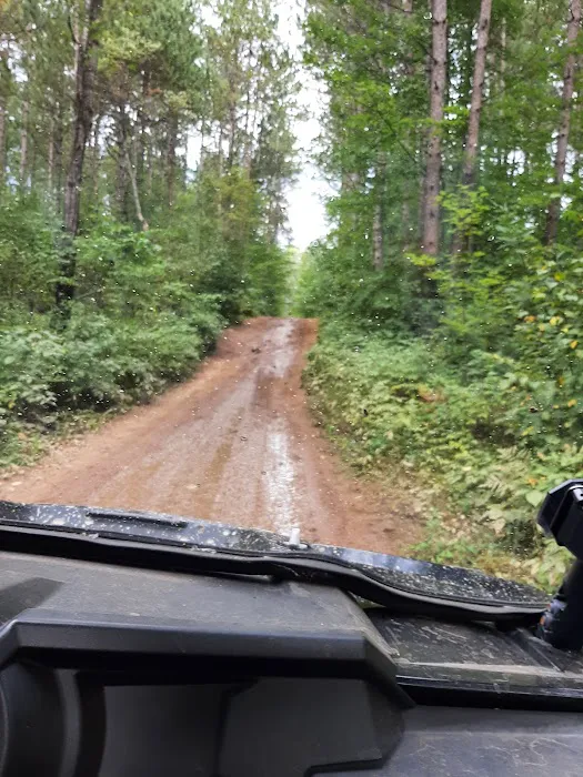 Friess Forest 9
