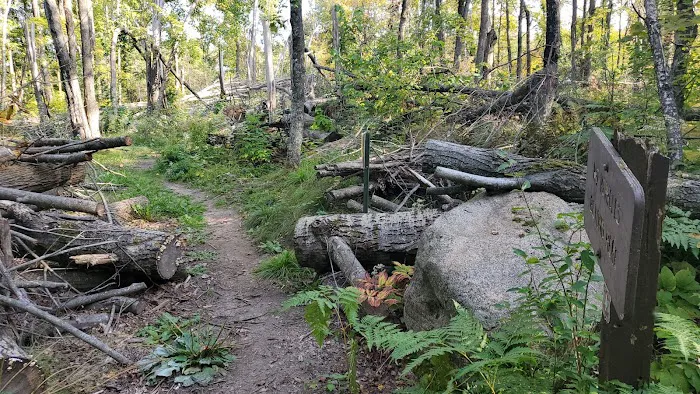 Jessie Lake Campsite 6