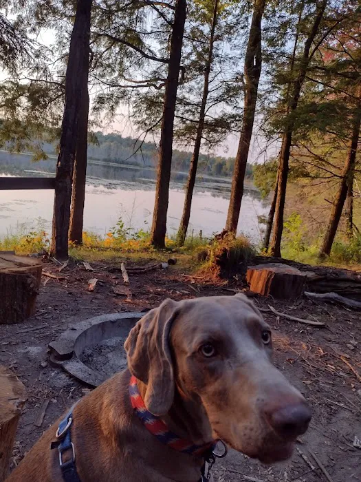 Jessie Lake Campsite 7