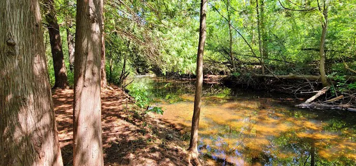 Evergreen Park & Campground 3
