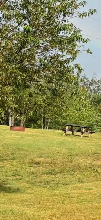 Thornton's RV Resort and Campground 8
