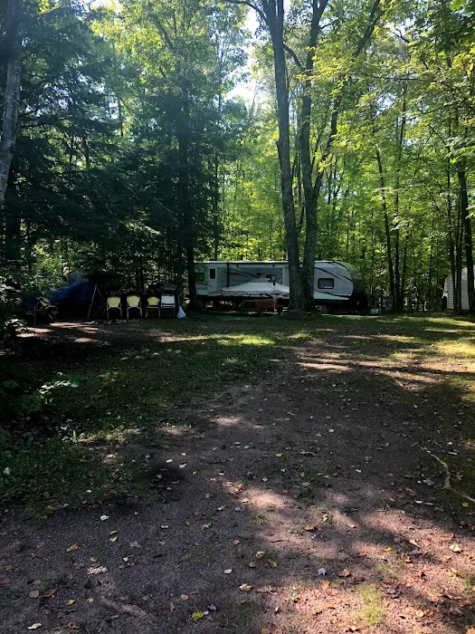 Silver Cliff Camp 5