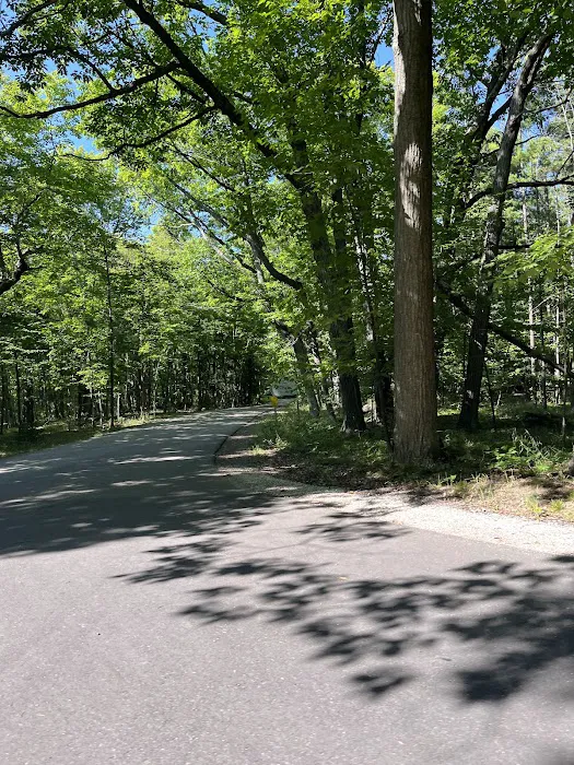Tennison Bay Campground 6