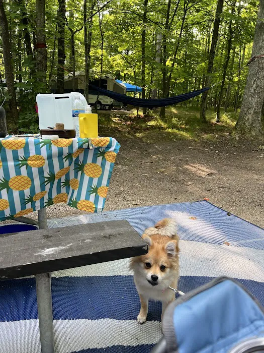South Nicolet Bay Campground 8