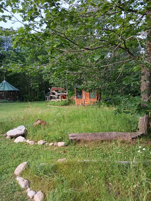 The Wellness Retreat 2