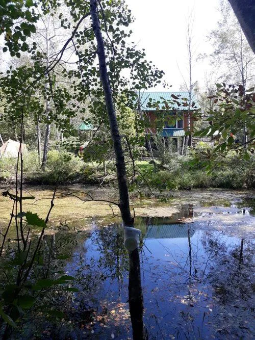 The Wellness Retreat 5