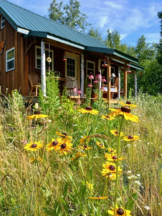 The Wellness Retreat 8