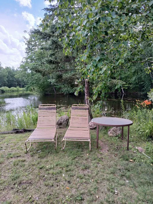 The Wellness Retreat 6