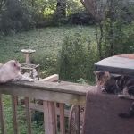 Stillwater Landing Mobile Home Park