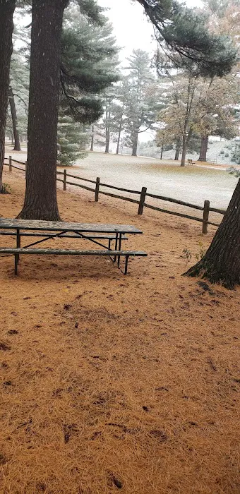 Marathon Park Campground 1