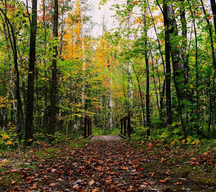Ada Lake Campground 7
