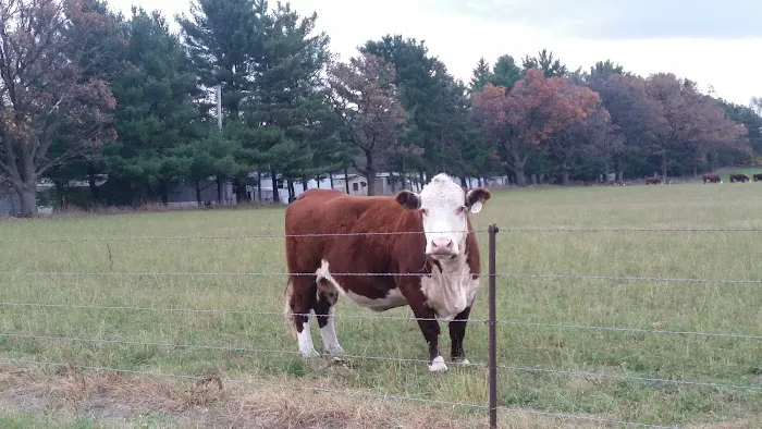 Cortland Acres 3