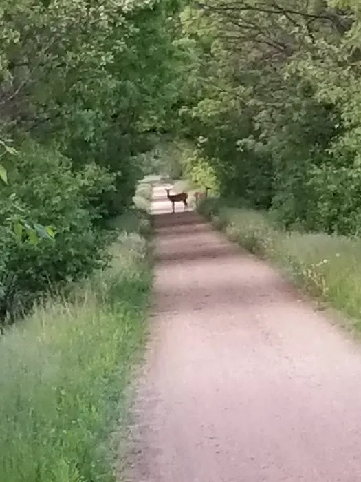Cortland Acres 7