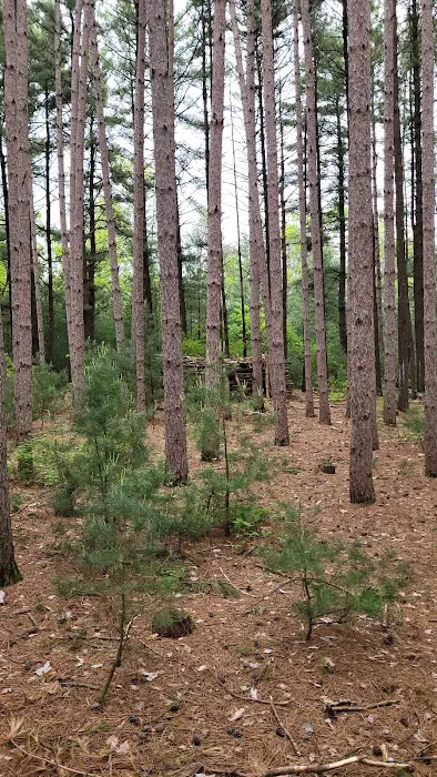 Leon Valley Campground 4