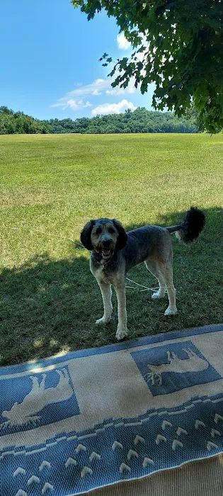 Leon Valley Campground 9