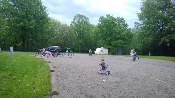 Group Camp Area 5