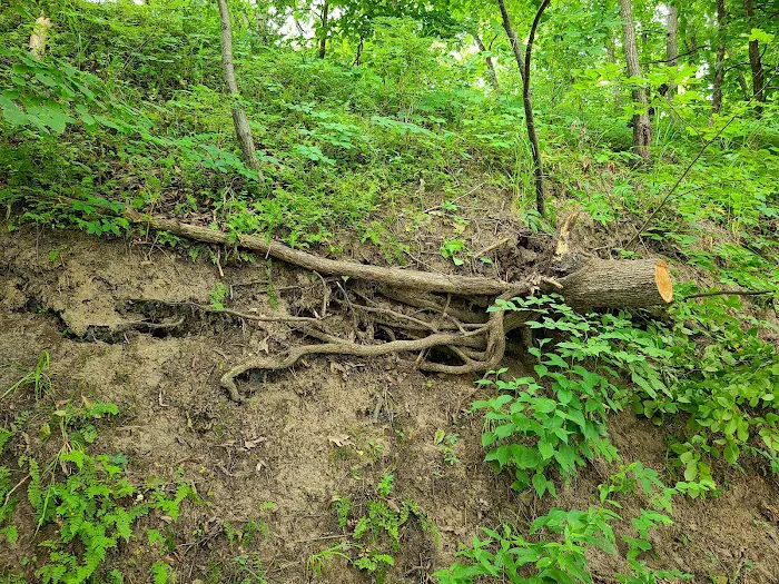 Ivan's Recreation Area 3