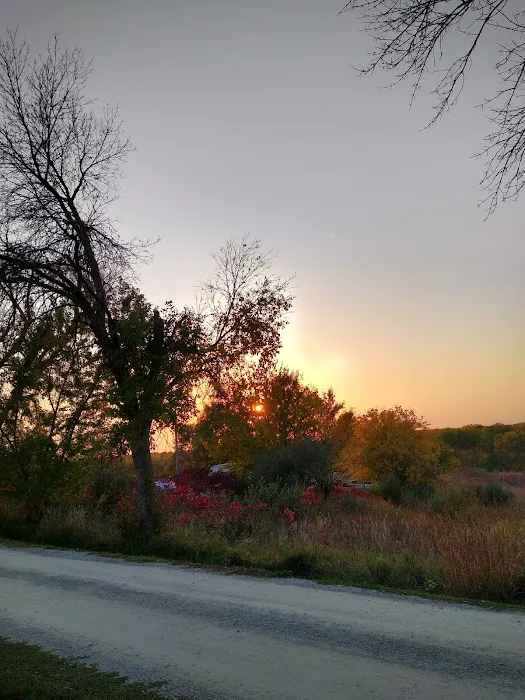 Roberts Creek Campground East 8