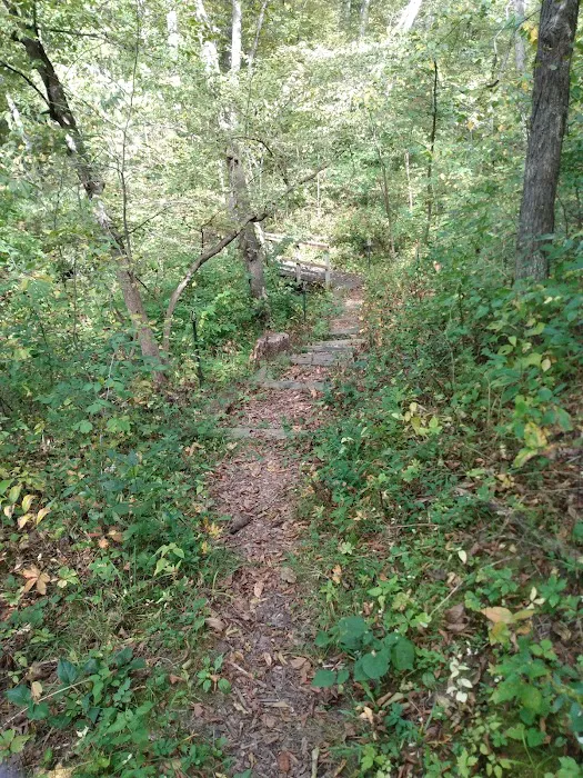 Ashton-Wildwood Campground 1