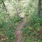 Ashton-Wildwood Campground