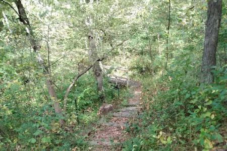 Ashton-Wildwood Campground