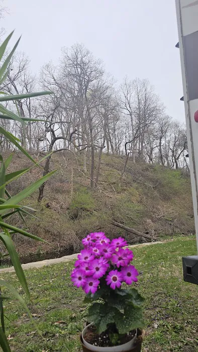 Thomas Mitchell Campground 4