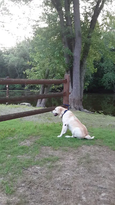 Maple River Campground 10