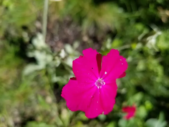 Oaks Mobile Home Park 7