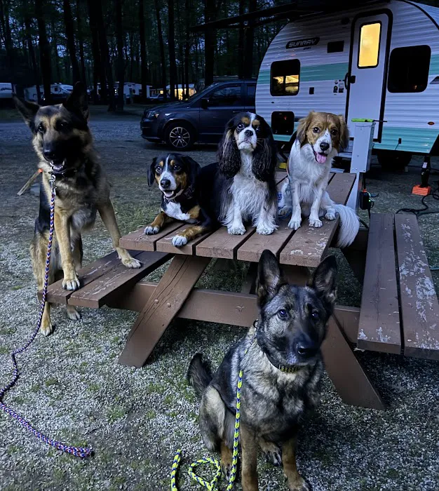 Duke Creek Campgrounds 10