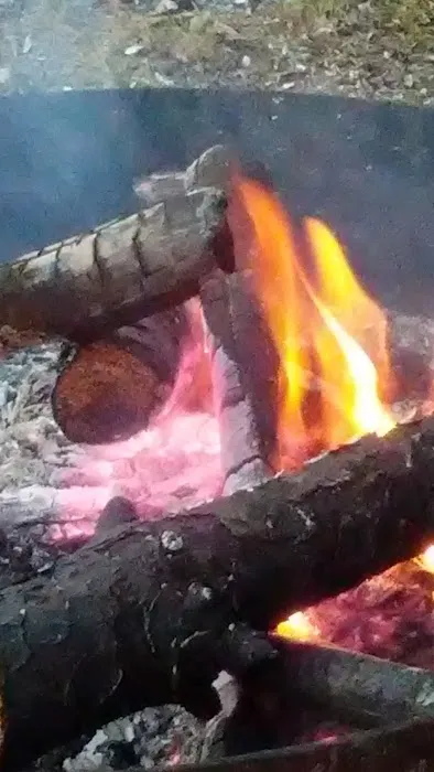 MUSKEGON RIVER CAMPGROUND 8