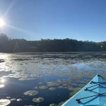 Wolf Lake Resort & Campground