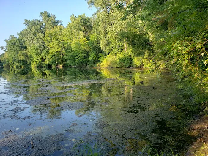 Cottonwood Campground 4