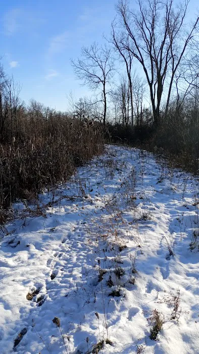 Oak Island Village 10