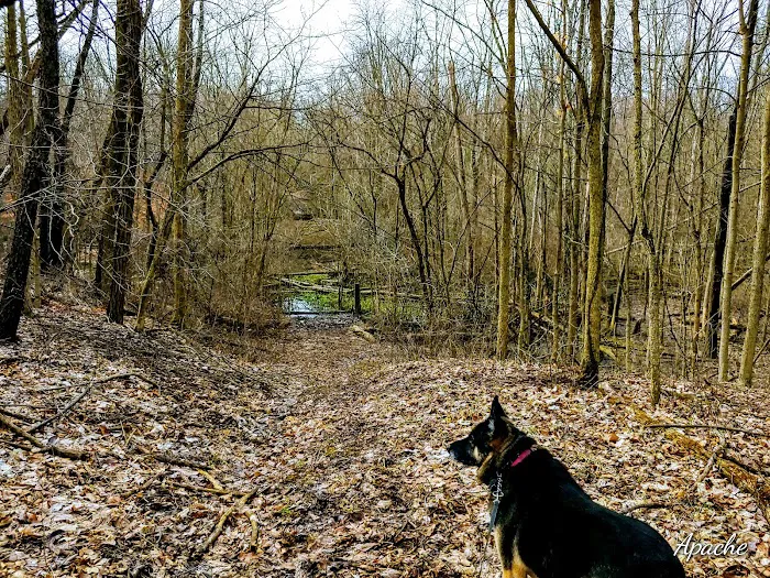 Van Buren State Park Campground 5