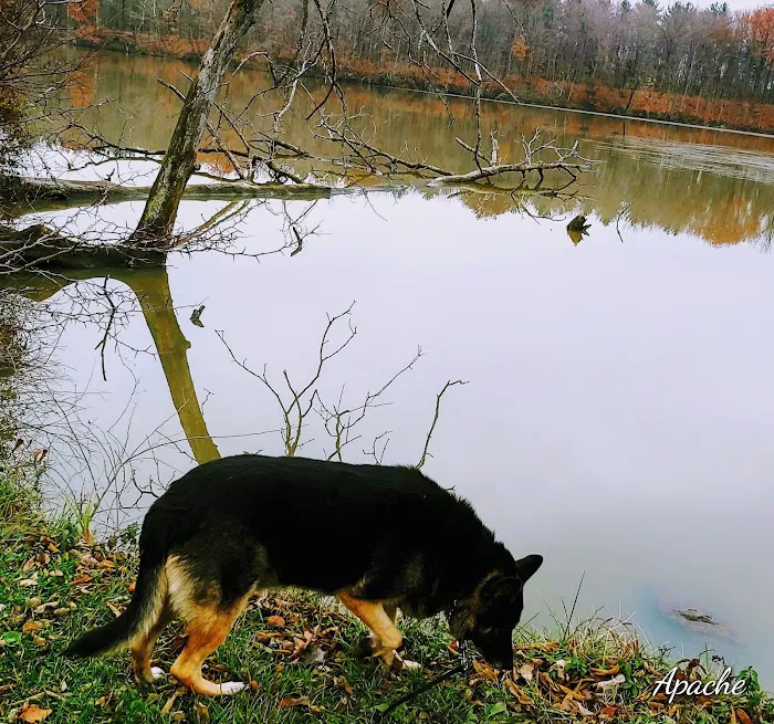 Van Buren State Park Campground 9