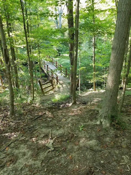 Van Buren State Park Campground 8