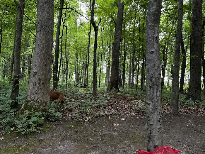 Oak Openings White Oak Campground 7