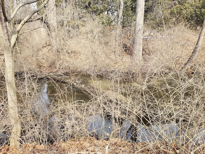 Arrowhead Lake 8