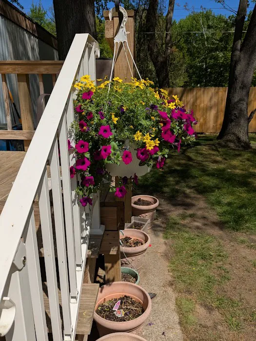 Chateau Estates Mobile Home 6