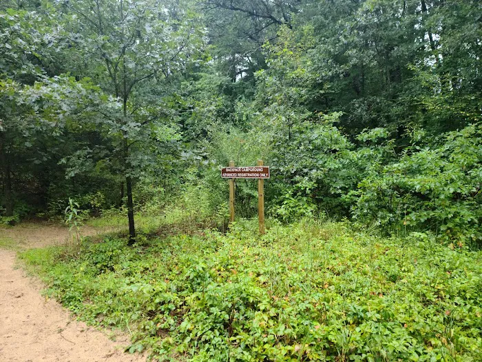 Pines Campground 2
