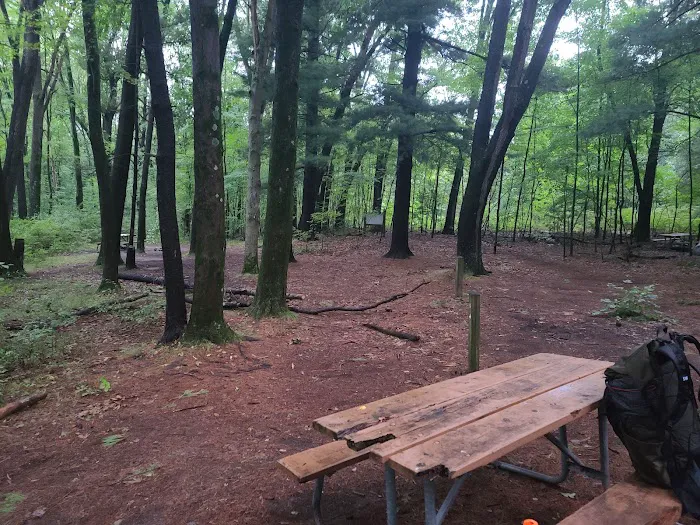 Pines Campground 3