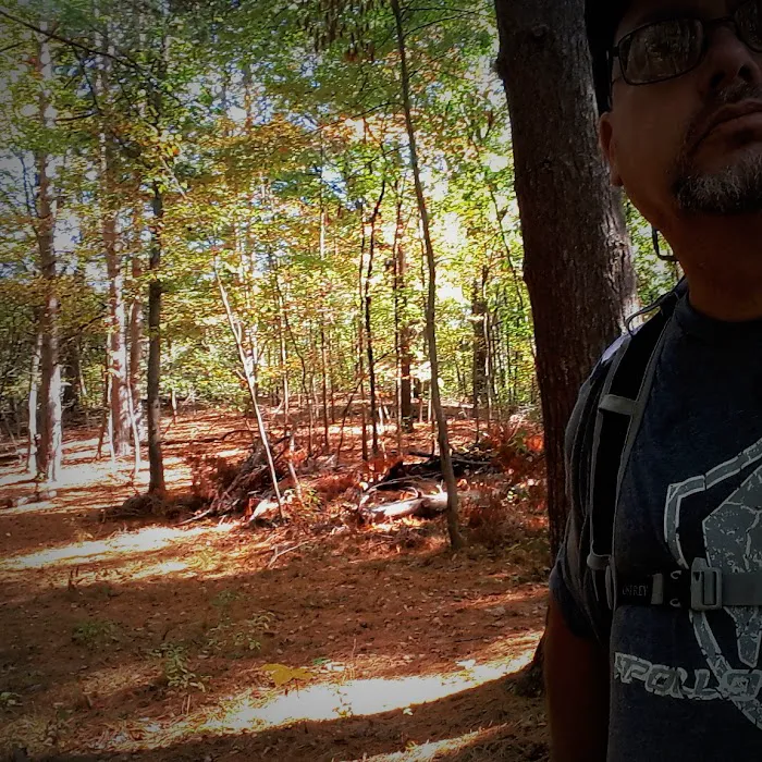 Pines Campground 6