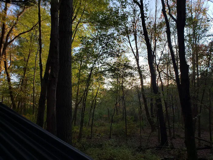 Pines Campground 7