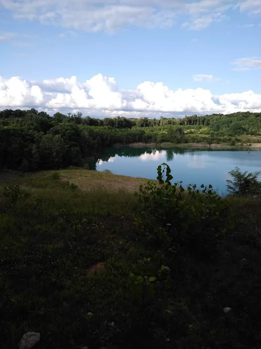 Farmlane Equestrian & Family Campground 5