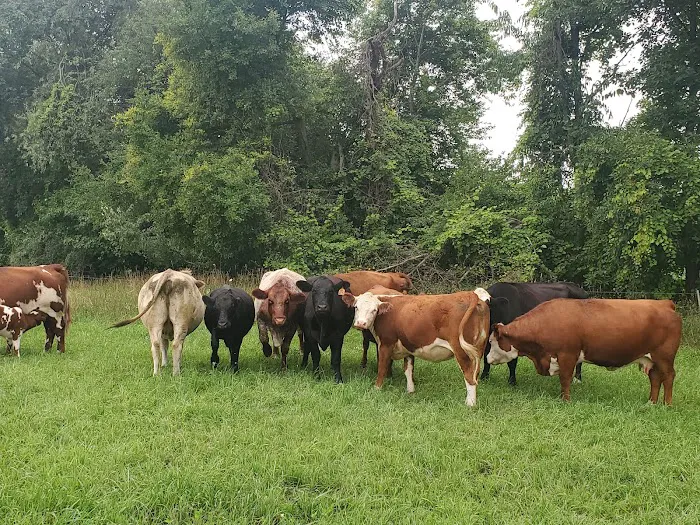 Freeway Farms 1