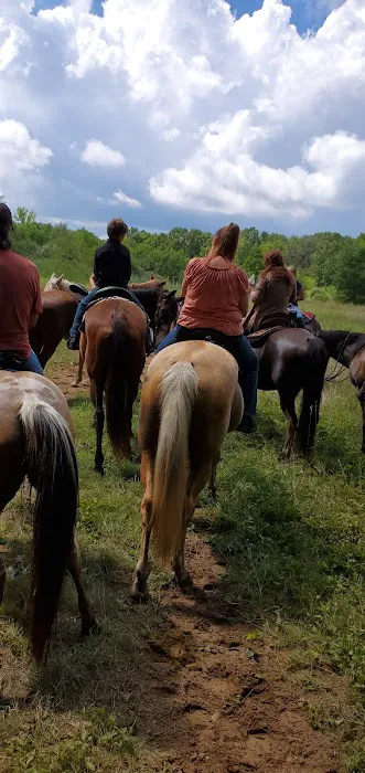 Waterloo Horse Camp & Staging Area 3